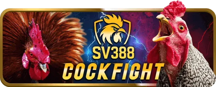 Minh họa cookie và cách chúng hoạt động trên trang web alo788